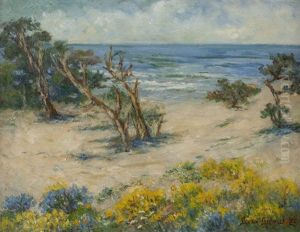Asilomar Beach, Coastal With Trees