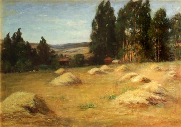 Field Of Hay - view 1