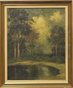 Quiet Pond, Golden Gate Park