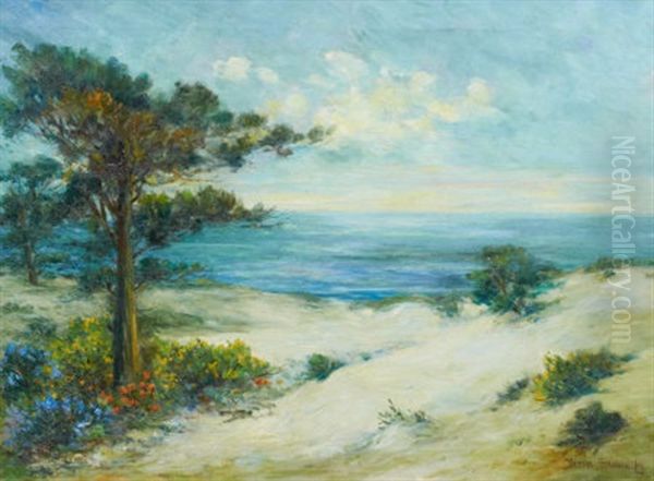 Ocean Solitude, Monterey - view 1