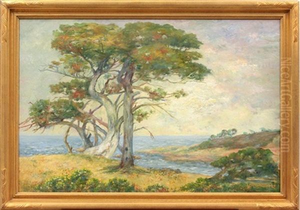 Cypress On The Pacific, Pebble Beach - view 1