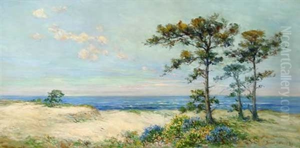 Far, Far Away - Monterey Coast - view 1