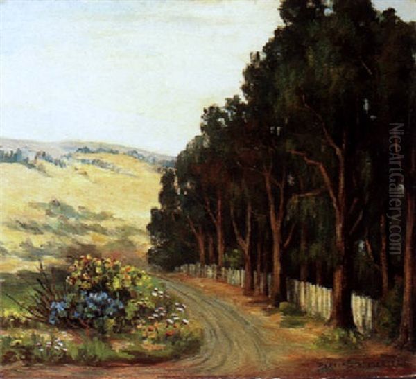 The Abandoned Road, San Francisco, California - view 1