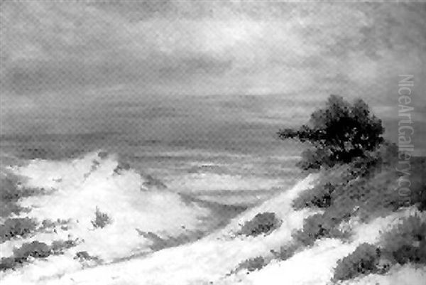 Monteray Coast - view 1