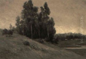 A Group Of Eucalyptus Trees On A Hill