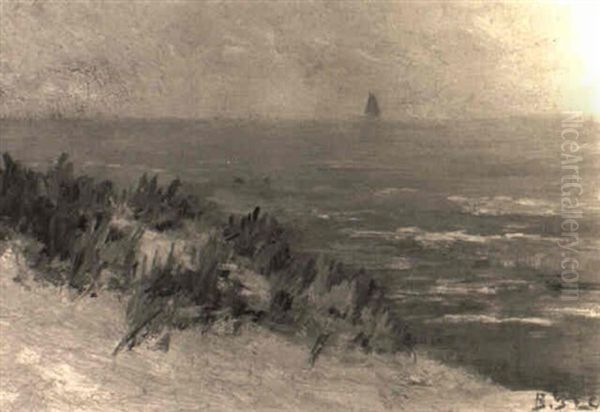 California Coast - view 1