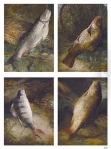Four Studies Of English Freshwater Fish: Chub, Tench, Perch And Carp