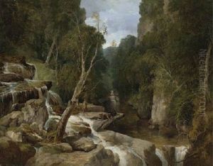 Salmon Poachers Discovered