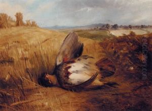A Partridge In An Extensive Landscape A Partridge In An Extensive Landscape