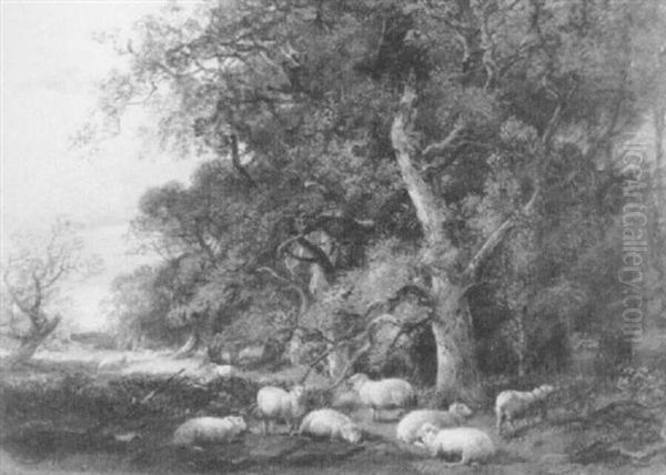 Sheep In A Wooded Landscape - view 1