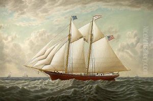 The California Lumber Schooner "mary E. Russ" The California Lumber Schooner "mary E. Russ"