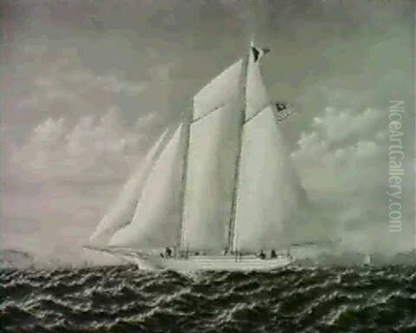 Cornelius O'connor - view 1