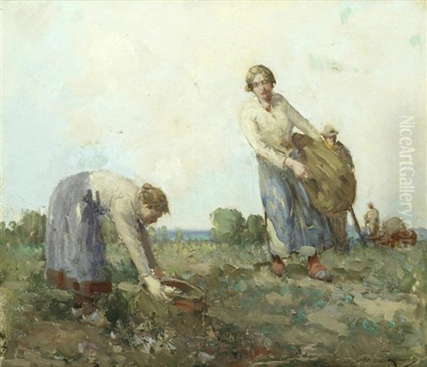 Gathering Turnips - view 1