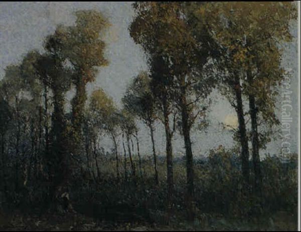 Silent River - view 1