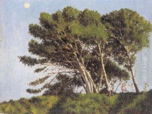 Arbres De La Cote D'azur by Jef Leempoels