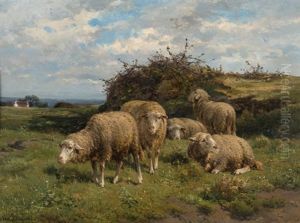 Schafe In Sommerlicher Landschaft by Cornelis van Leemputten