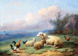 Ewe With Lambs And Chickens In A Meadow