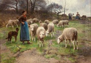 Weidende Schafe Vor Einem Kartoffelfeld. Bauerinnen Bei Der Arbeit. Weidende Schafe Vor Einem Kartoffelfeld. Bauerinnen Bei Der Arbeit.