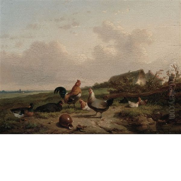 Chickens On The Farm - view 1