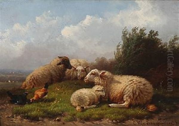 Sheep And Chickens In The Countryside - view 1