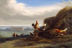 Paysage Aux Volailles