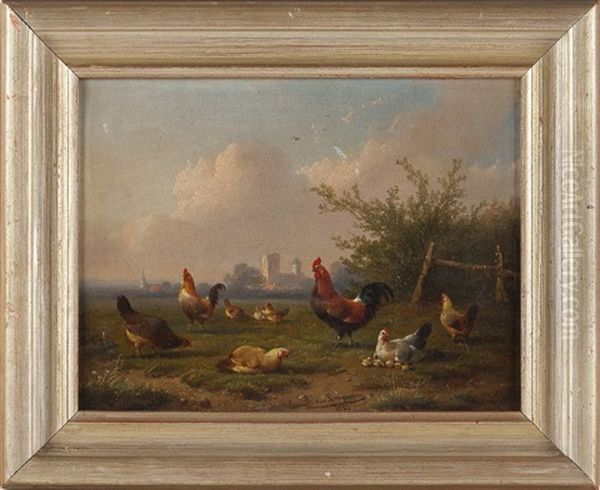 The Flock - view 1