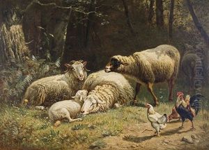 Auf Der Waldlichtung Auf Der Waldlichtung
