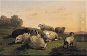 Schafe Auf Der Weide by Cornelis van Leemputten
