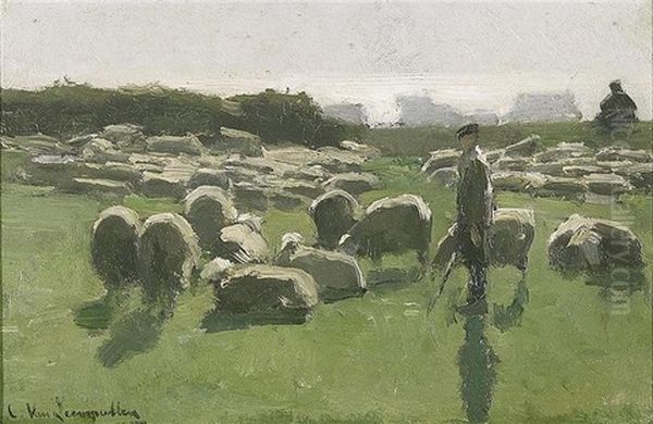 Bergers Et Moutons Au Paturage - view 1