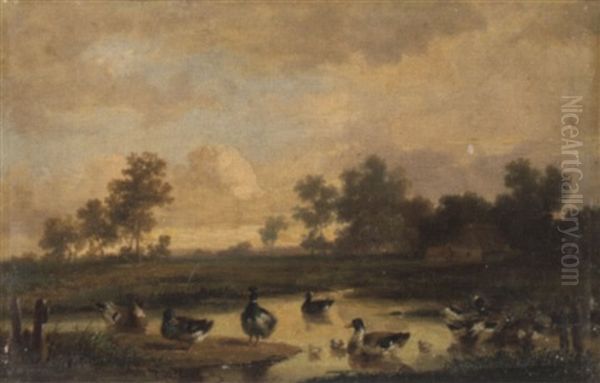 Enten Am Teich - view 1