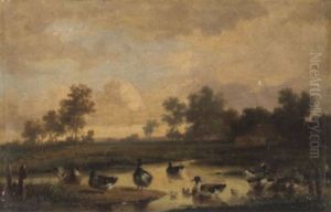 Enten Am Teich