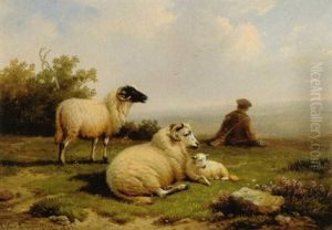 Berger Et Trois Moutons Dans Un Paysage