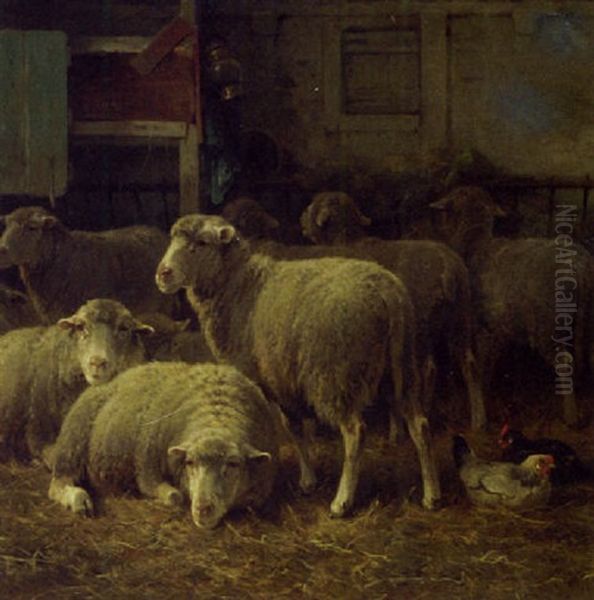 Sheep And Poultry In A Stable - view 1