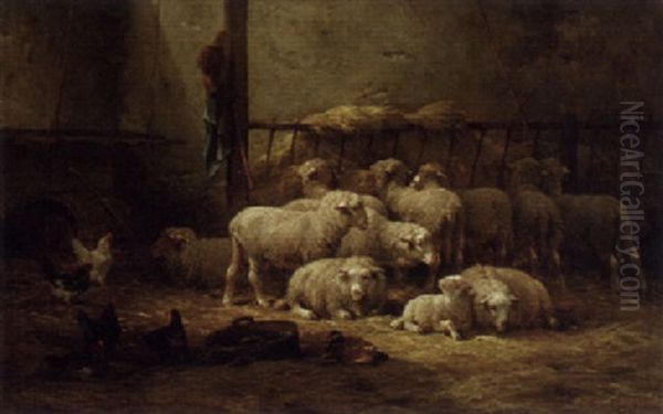 Nestling Sheep - view 1