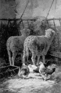 Sheep And Fowl In A Barn by Cornelis van Leemputten