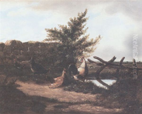 Chickens And A Rooster By A Pond - view 1