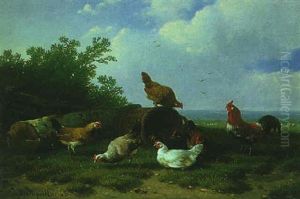 Cockerels And Hens In A Field