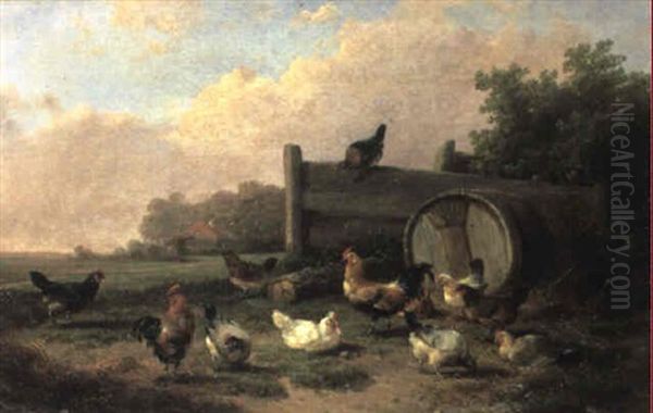 Poultry In A Field - view 1