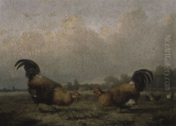 Cockerels In A Meadow - view 1