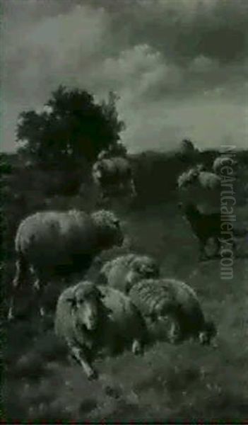 Gathering The Flock - view 1