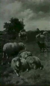 Gathering The Flock