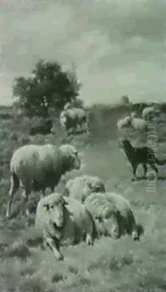Sheep In A Pasture - view 1
