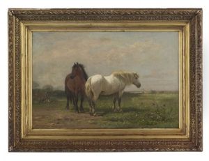 A Chestnut And A Grey In The Field A Chestnut And A Grey In The Field