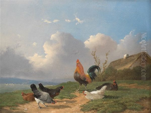 Chicken Yard - view 1