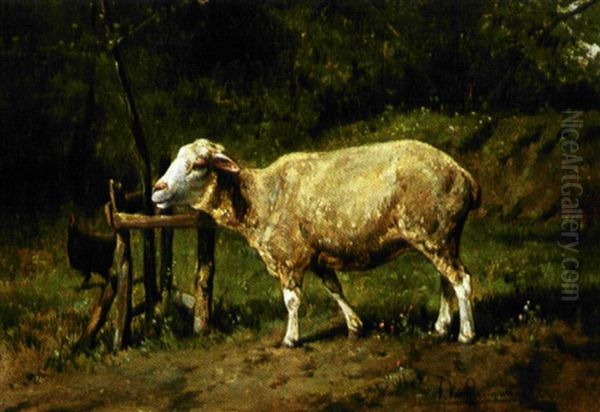 Landschap Met Schaap En Kip - view 1