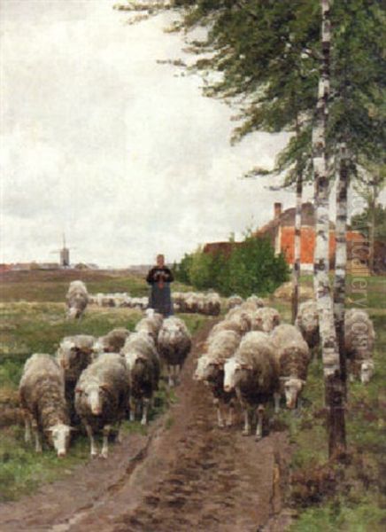 The Path To Pasture - view 1