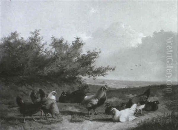 Federvieh - view 1