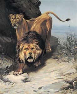 King Of The Desert