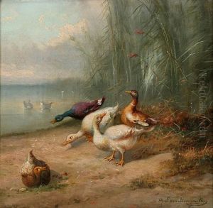 Ducks By The Water by Jef Louis Van Leemputten