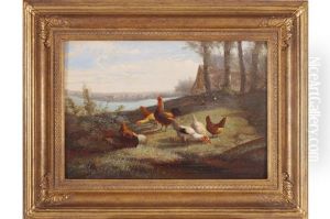 Chickens In A Farmyard Chickens In A Farmyard